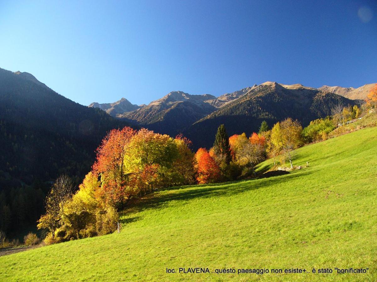 Alpen Garten Hotel Margherita Rumo ภายนอก รูปภาพ