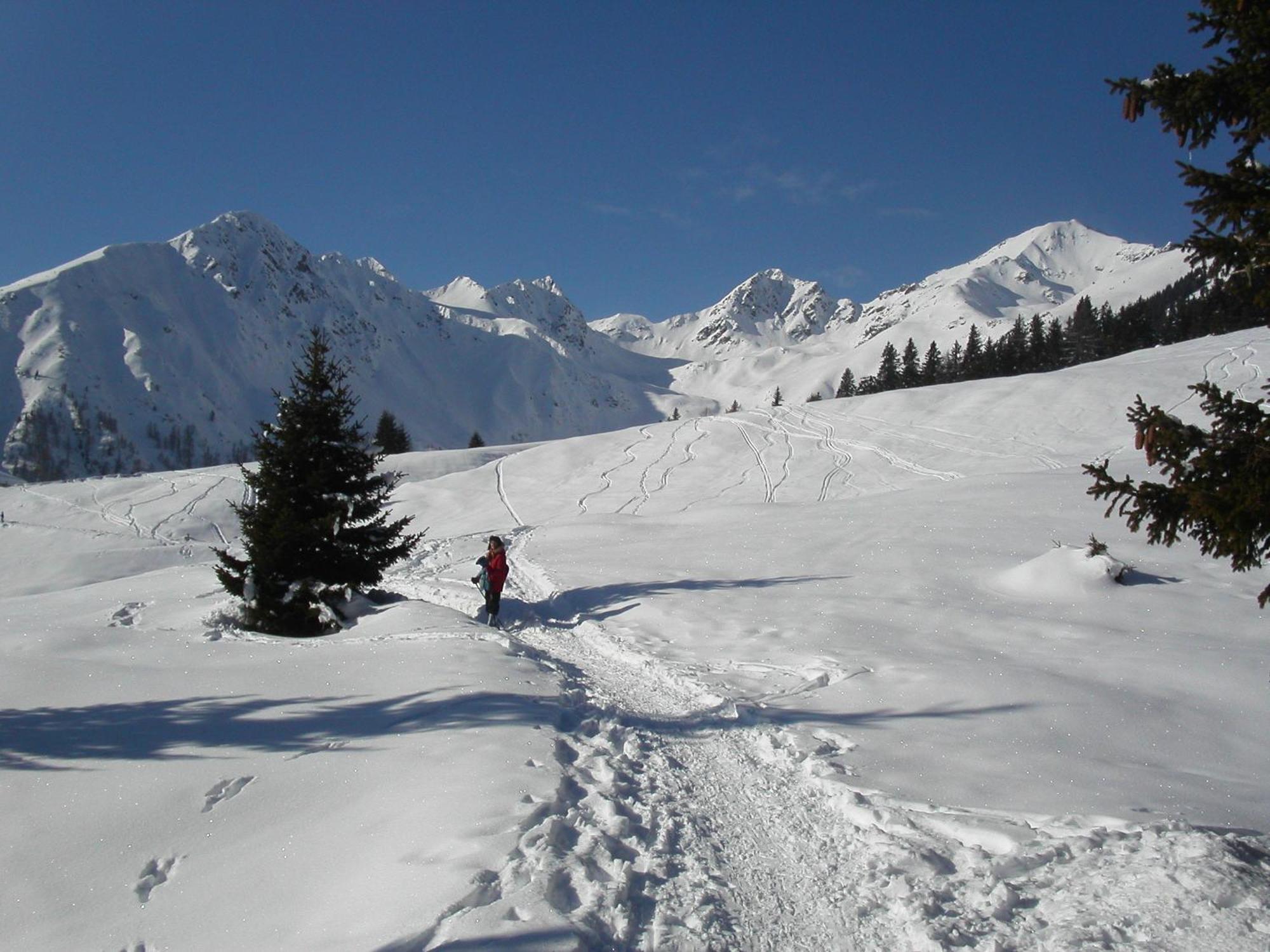 Alpen Garten Hotel Margherita Rumo ภายนอก รูปภาพ